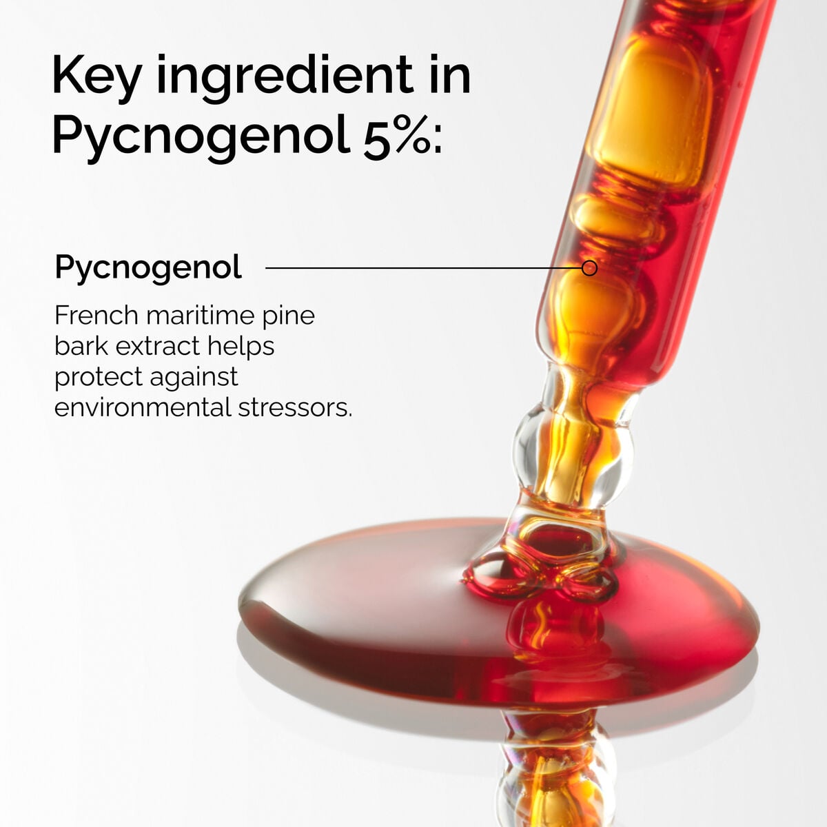 pycnogenol-5-y2 FY25-D41247-ORD-Web-PDP-Pyc-5pct-1x1-EN-2a.jpg