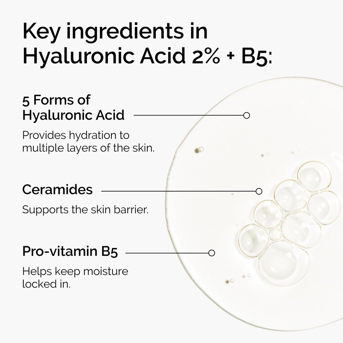 hyaluronic-acid-2-b5-with-ceramides-b7 ord-hyaluronic-acid-2pct-b5-hydrating-serum-ingredients-graphic.jpg